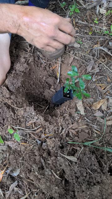 Hole Photo