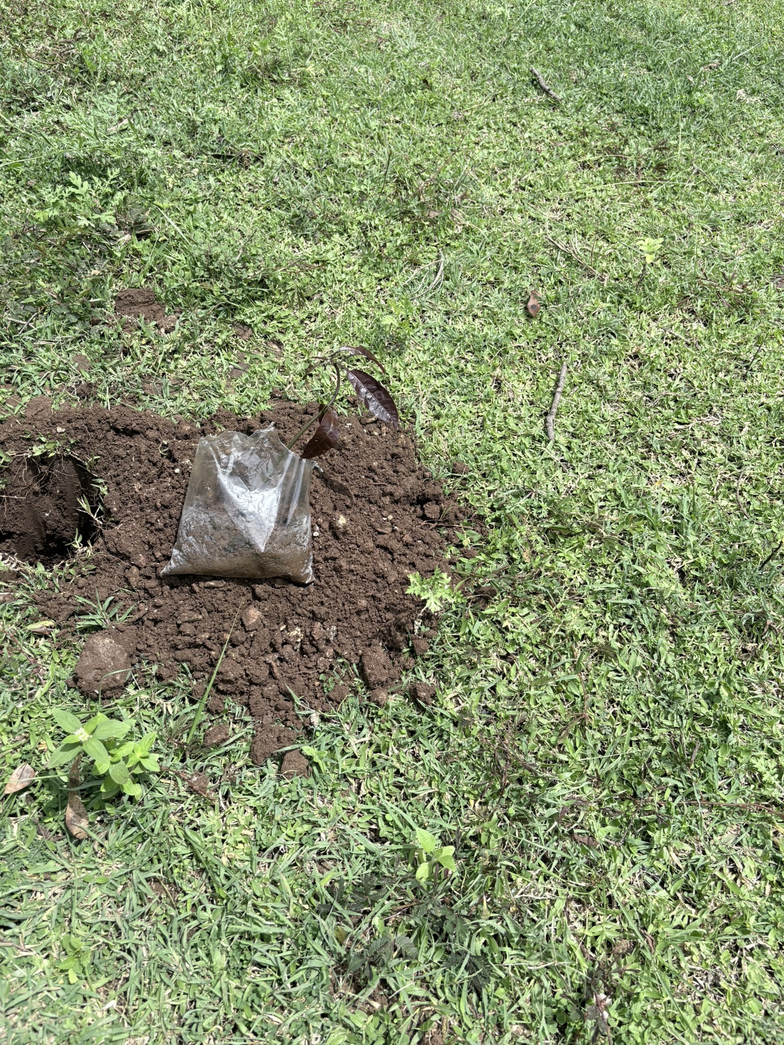 Hole Photo