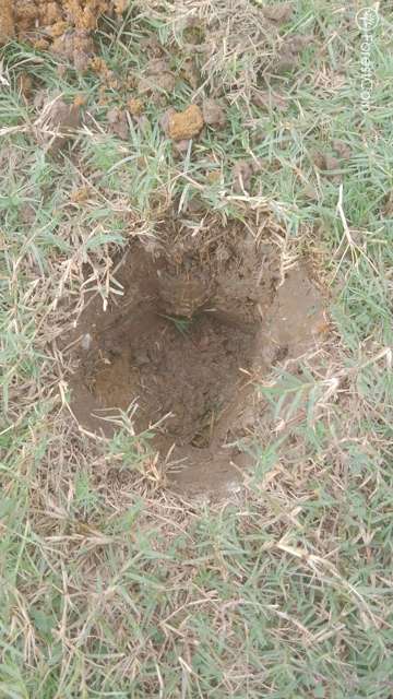 Hole Photo