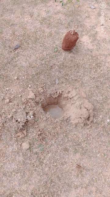 Hole Photo