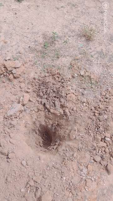 Hole Photo