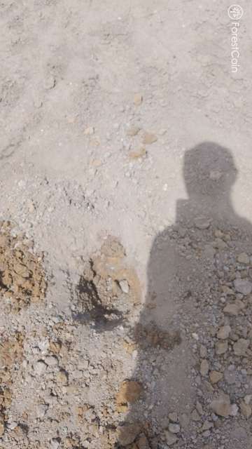 Hole Photo