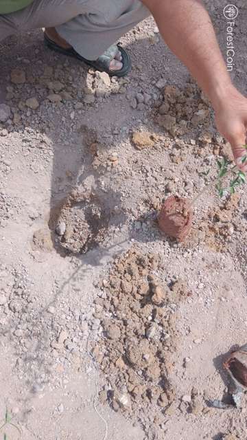 Hole Photo