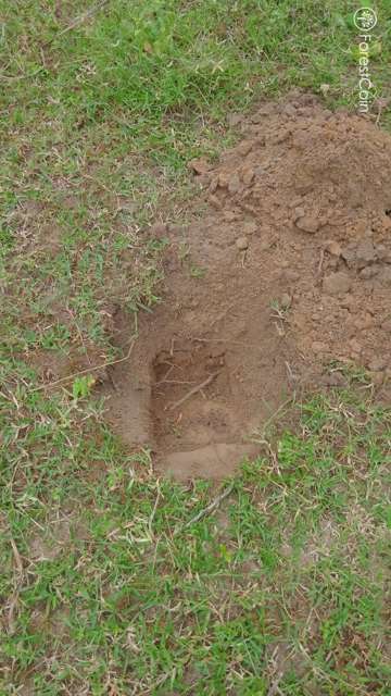 Hole Photo
