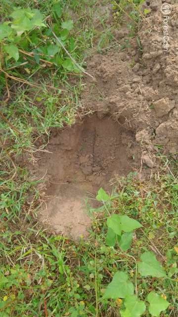 Hole Photo