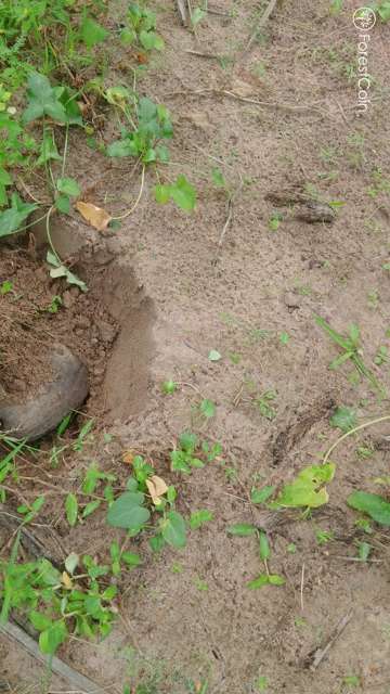 Hole Photo