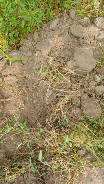 Hole Photo
