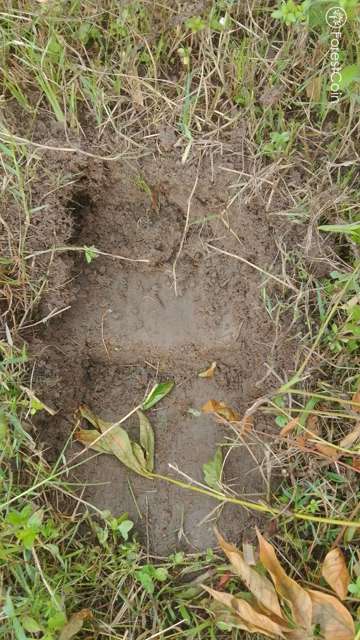 Hole Photo