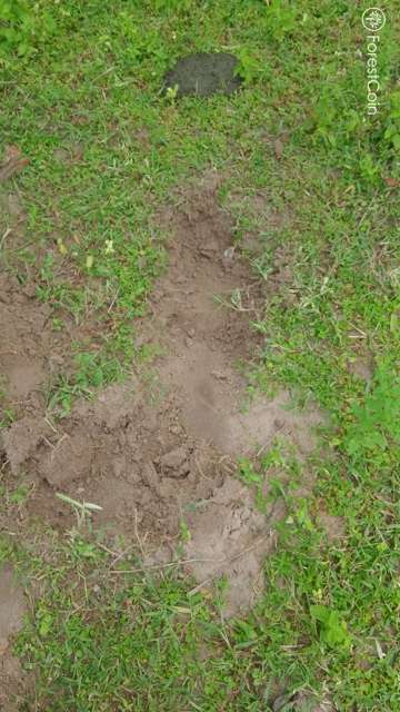 Hole Photo