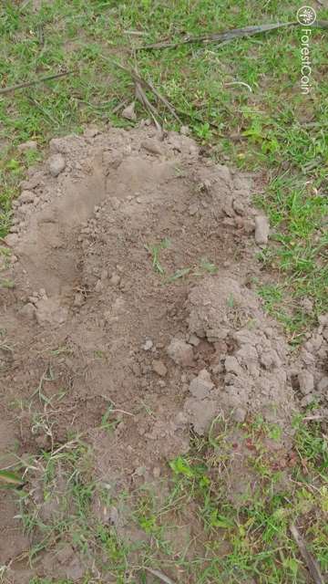 Hole Photo