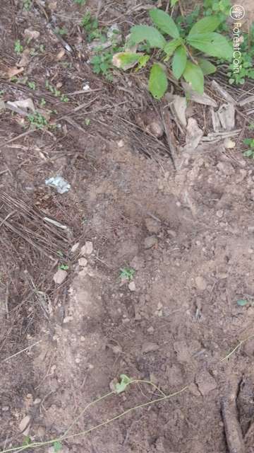 Hole Photo
