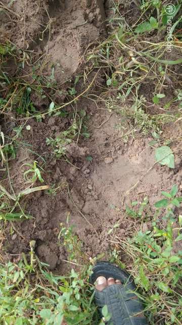 Hole Photo