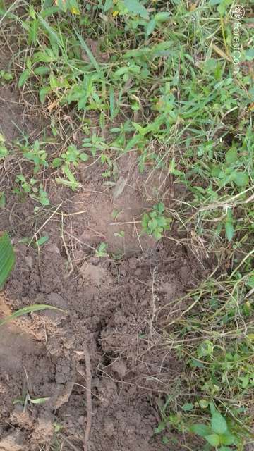 Hole Photo