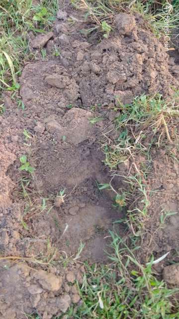 Hole Photo