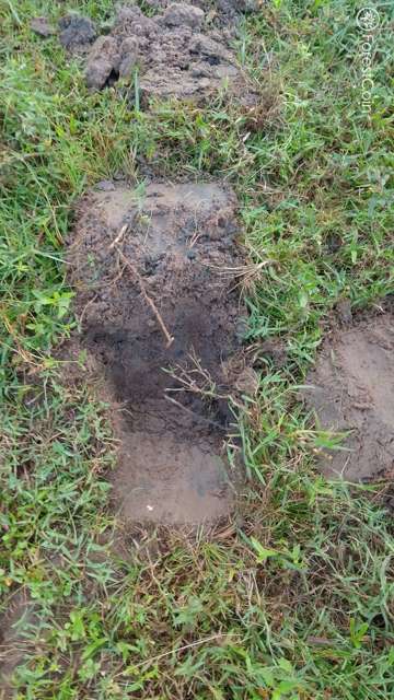 Hole Photo