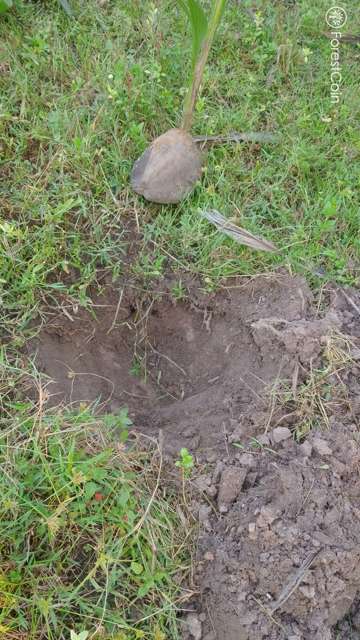 Hole Photo