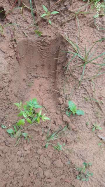 Hole Photo