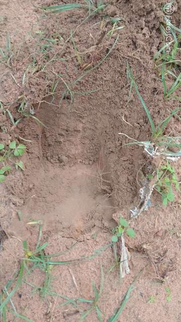 Hole Photo