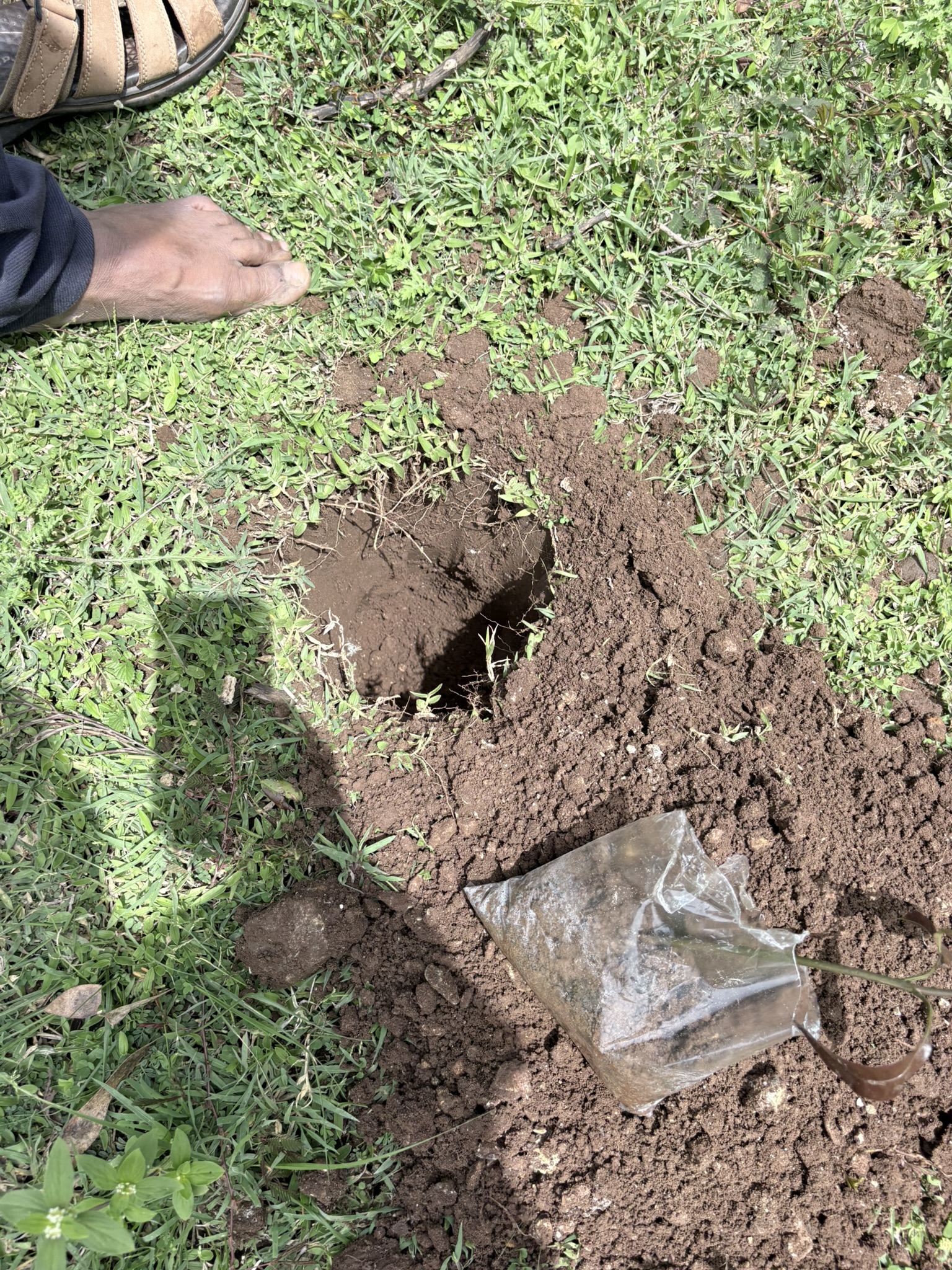Hole Photo