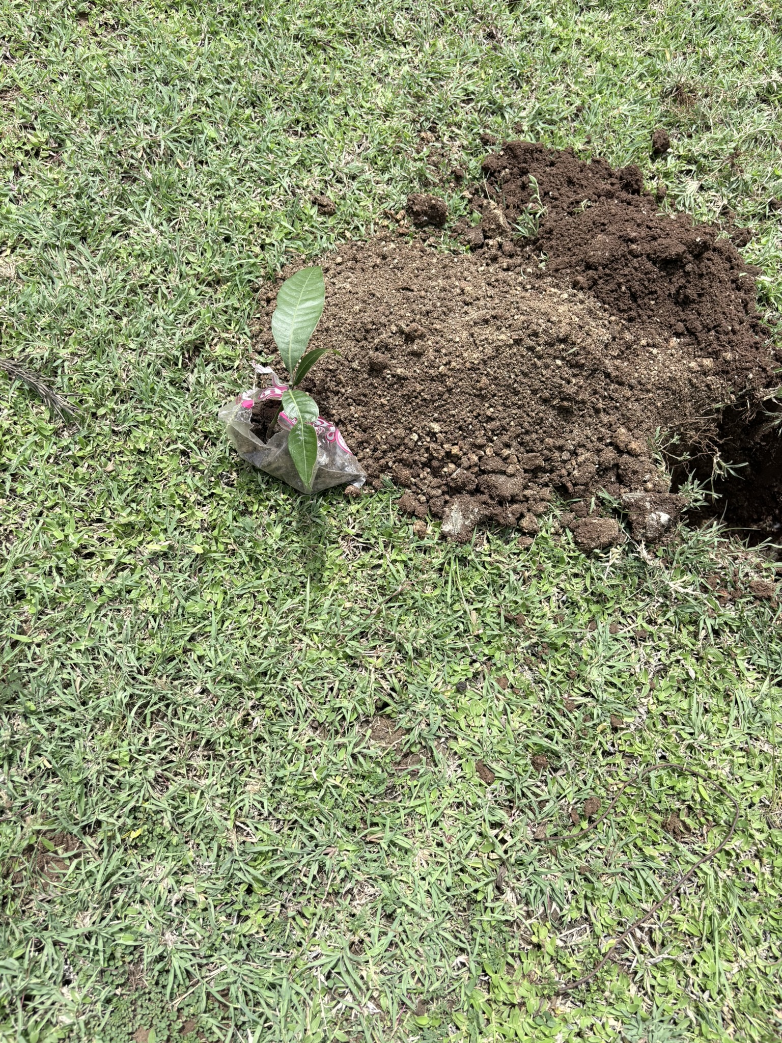 Hole Photo