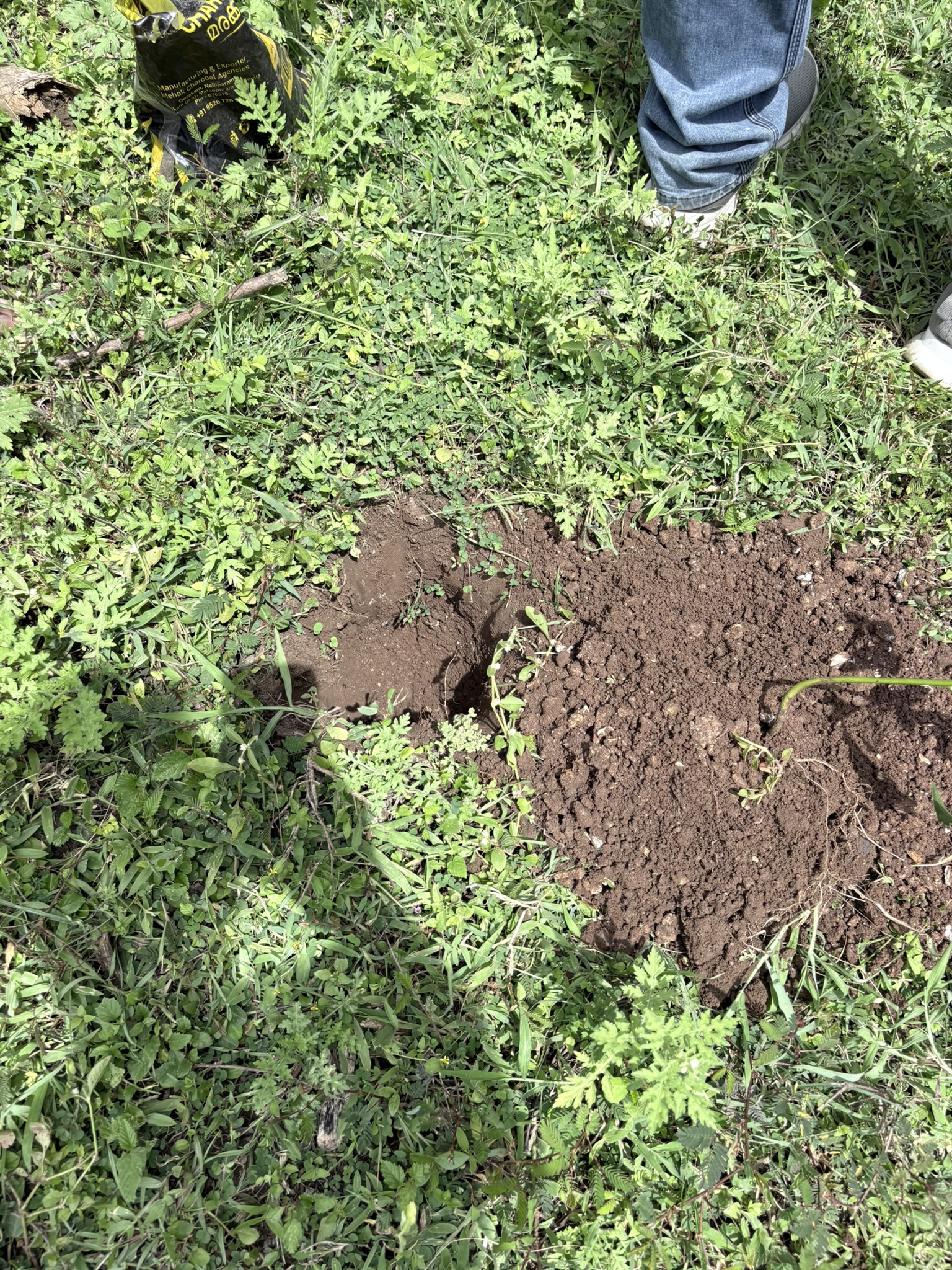Hole Photo