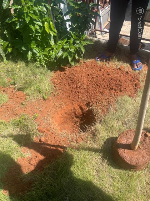 Hole Photo