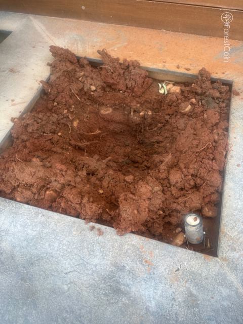 Hole Photo