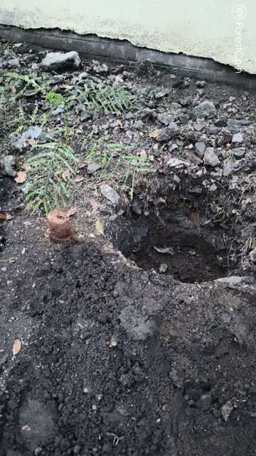 Hole Photo