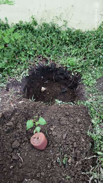 Hole Photo