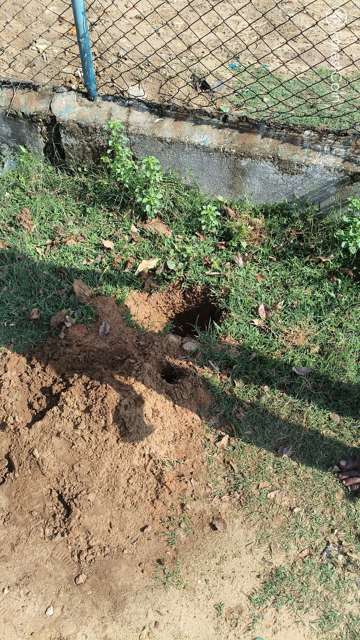 Hole Photo