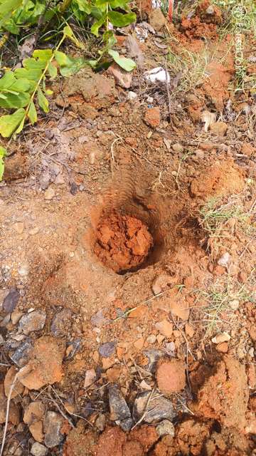 Hole Photo