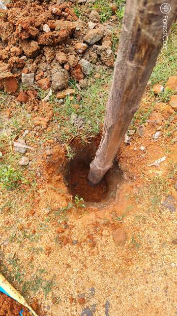 Hole Photo
