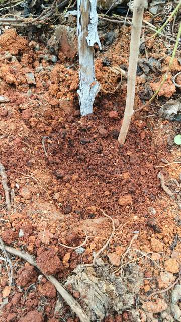 Hole Photo