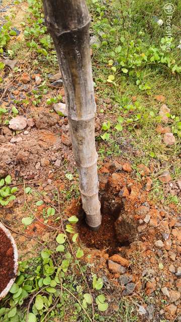Hole Photo