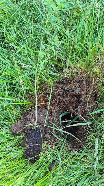 Hole Photo