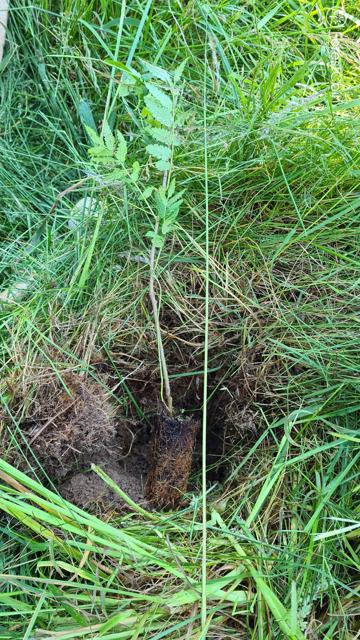 Hole Photo