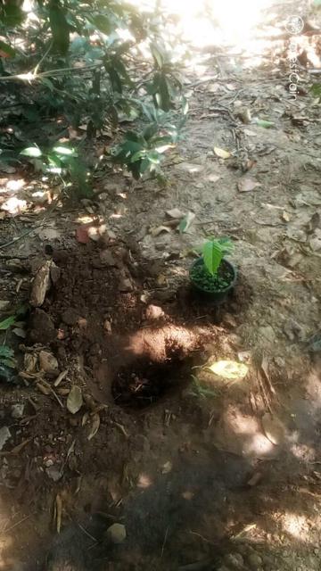 Hole Photo
