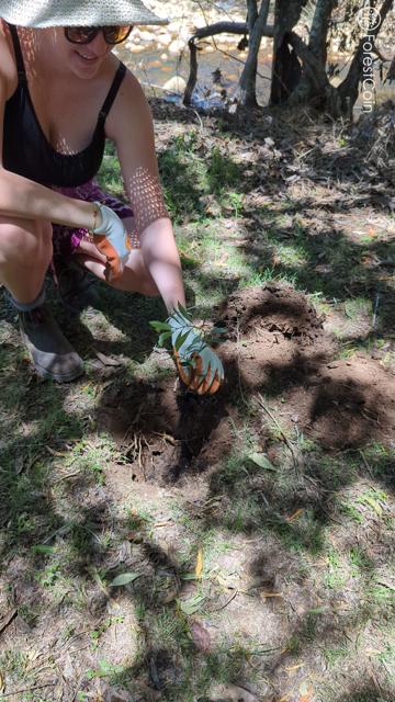 Hole Photo