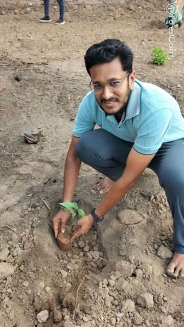 Plant 4566