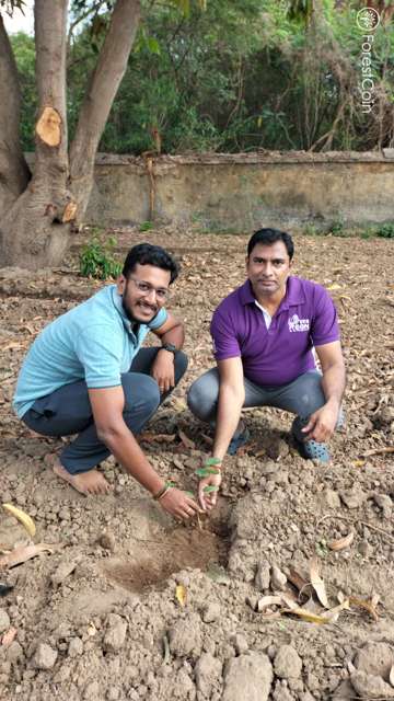 Plant 4572