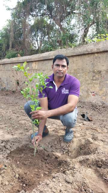 Plant 4573