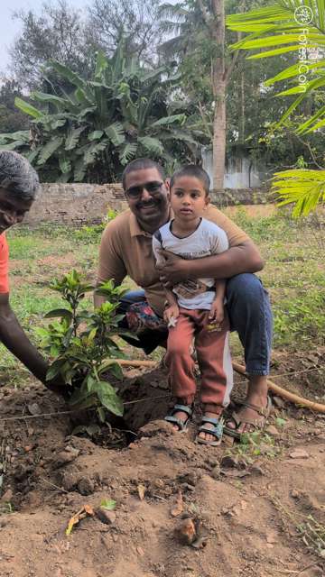 Plant 4498