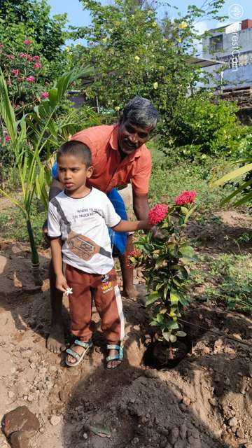 Plant 4520