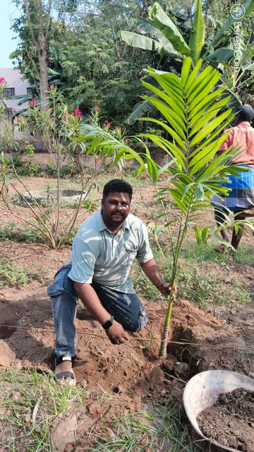 Plant 4521