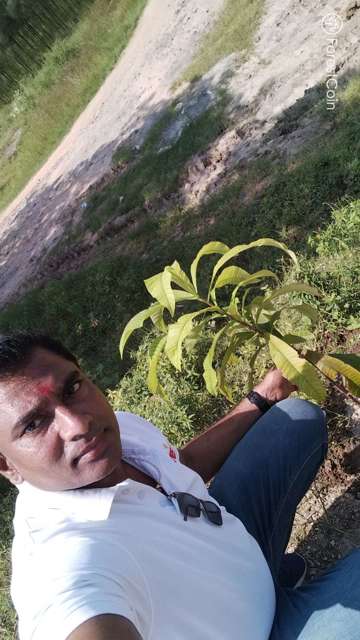 Plant 2432