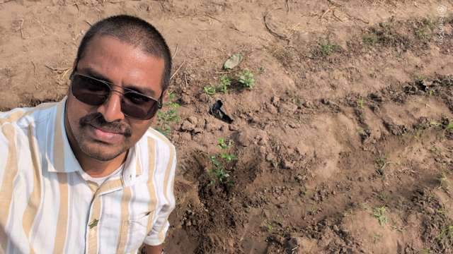 Plant 4448